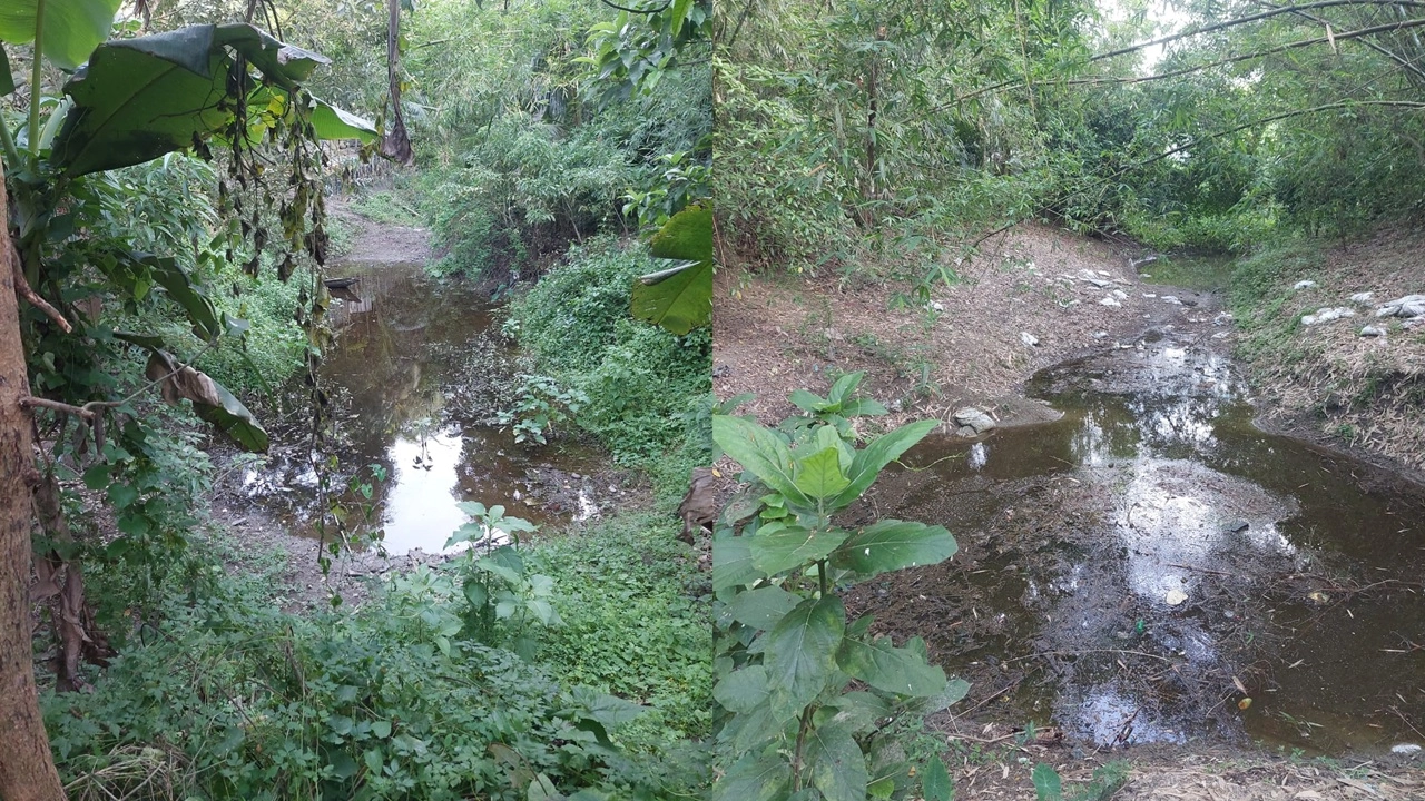 ঐতিহাসিক খাল