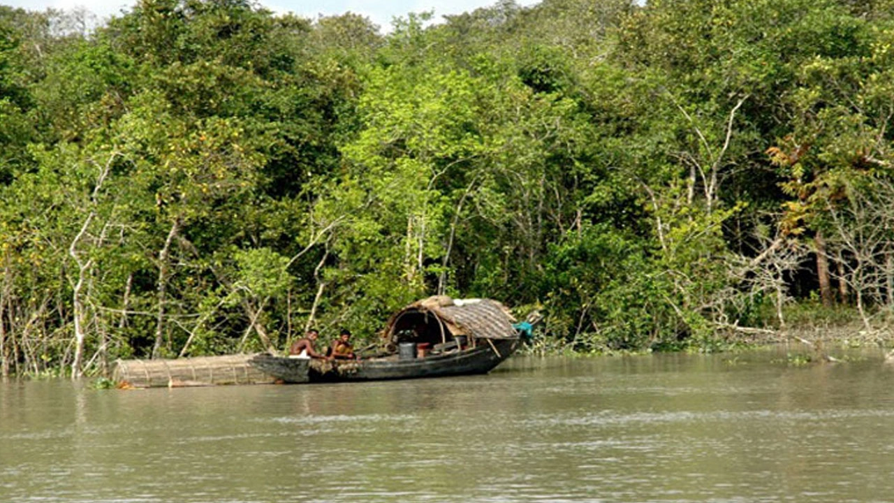 ফাইল ছবি