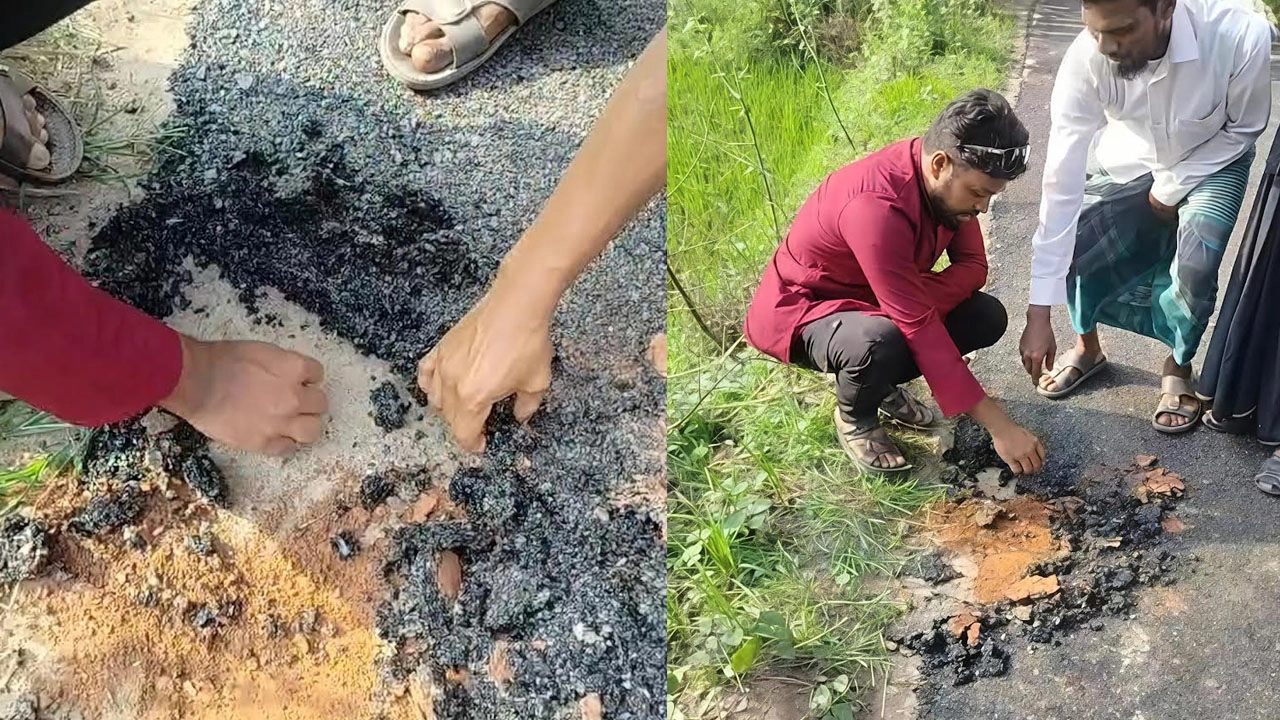এনপিবি কোলাজ।