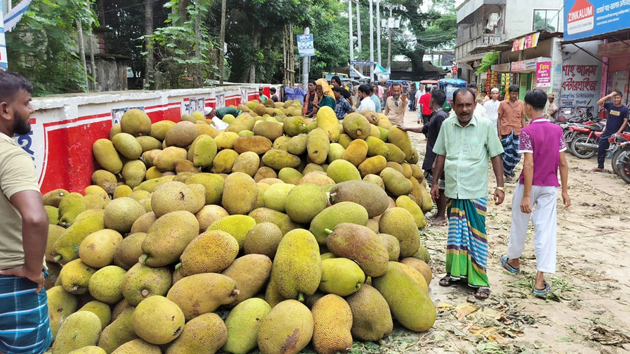 ছবি সংগৃহীত