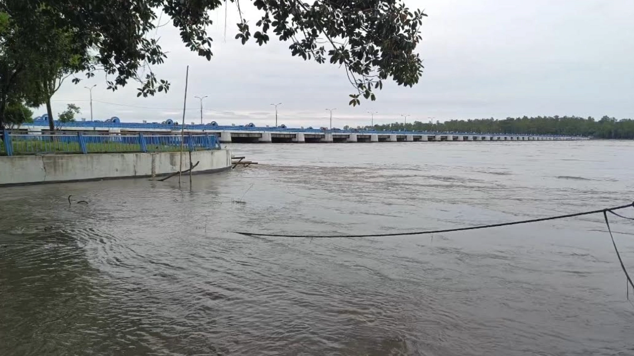 তিস্তা নদীর পানি