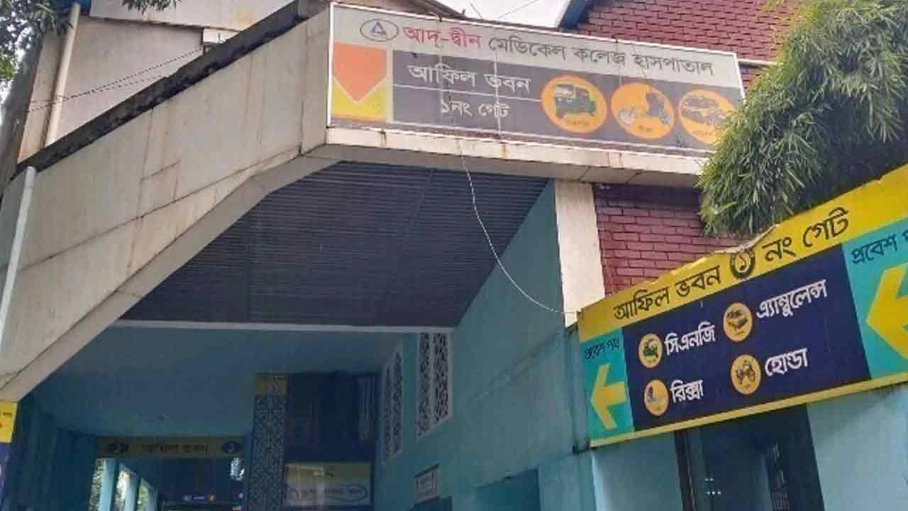 ফাইল ছবি