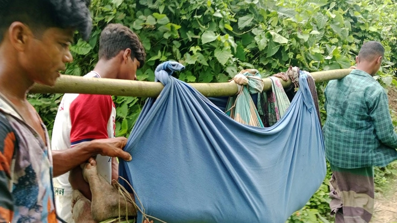 বন্যহাতির আক্রমণে শ্রমিক আহত