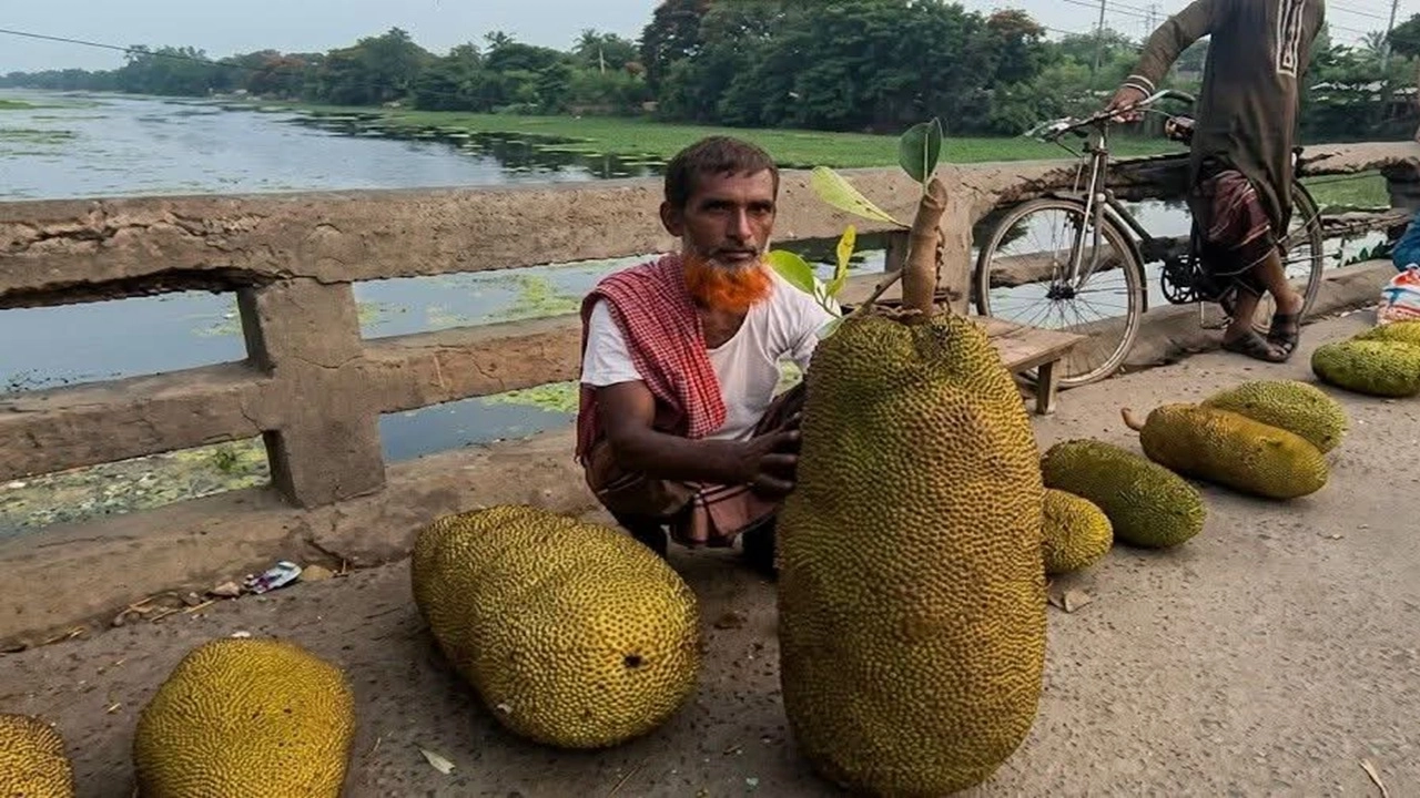 ছবি: এনপিবি নিউজ