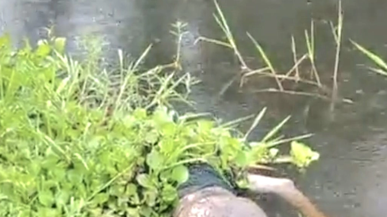 ছবি সংগৃহীত
