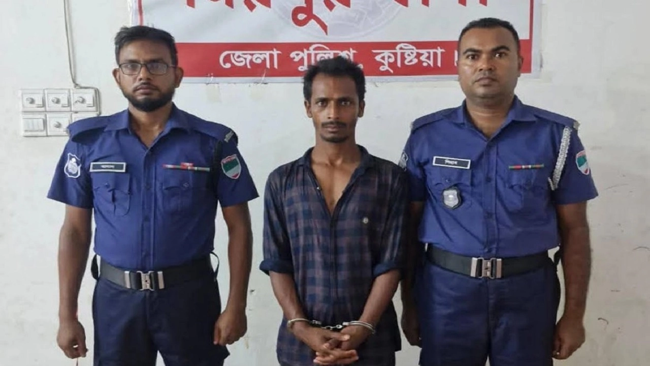 হাবিবুল ইসলাম ঠান্টু