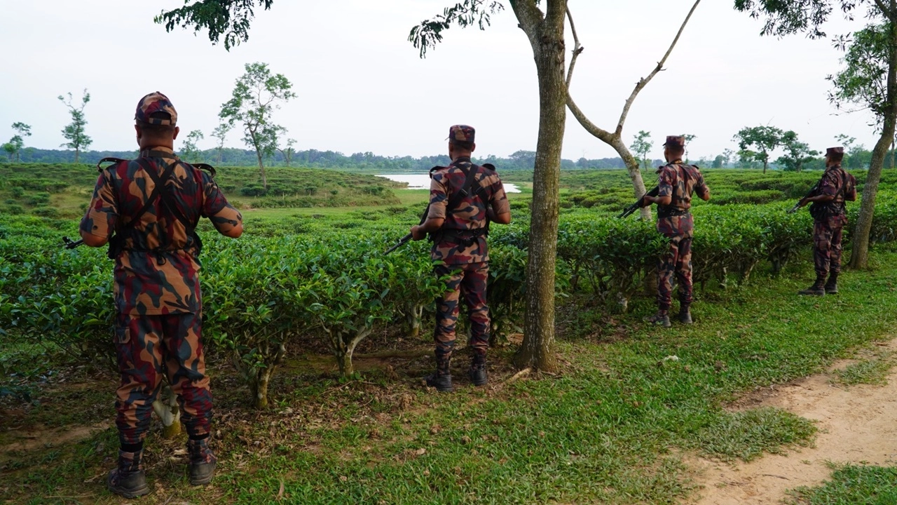 ছবি সংগৃহীত