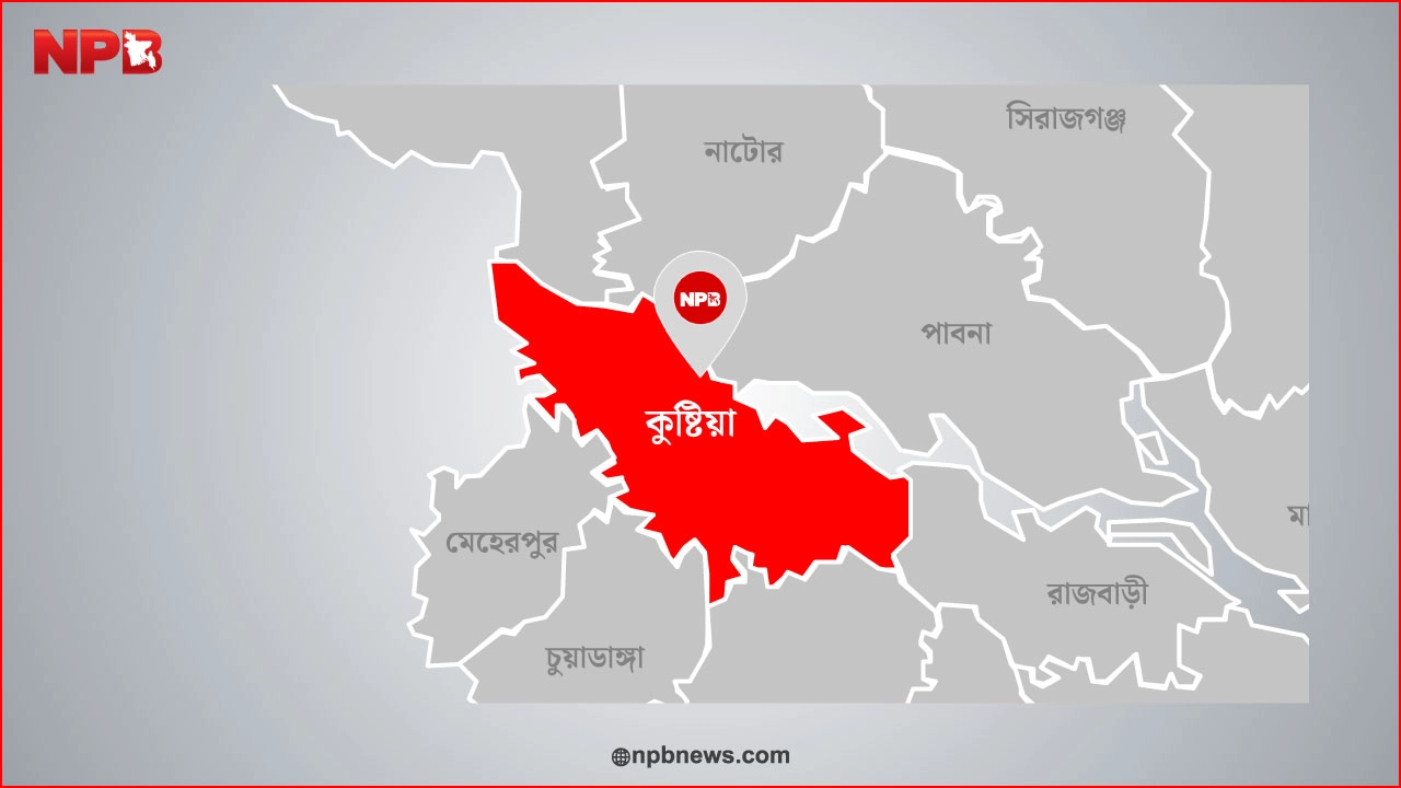 এনপিবি গ্রাফিক্স