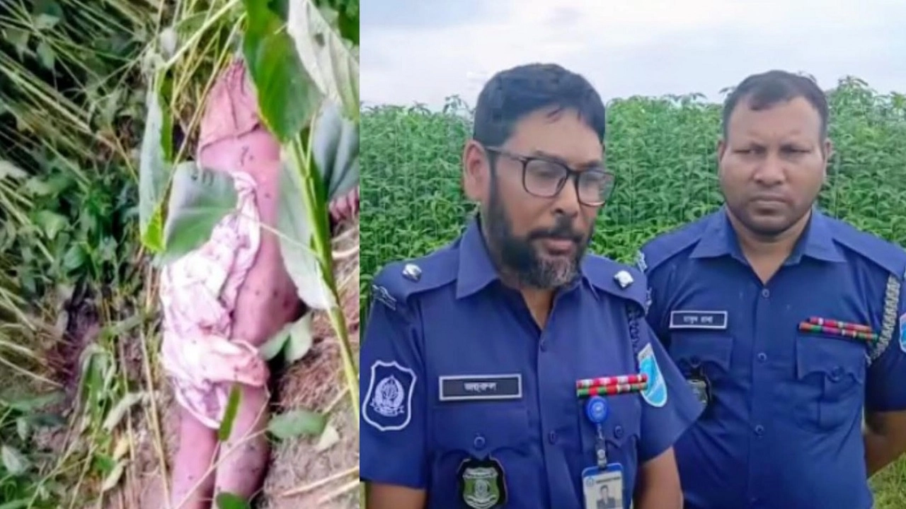 টাঙ্গাইলে নিখোঁজ ব্যক্তির লাশ মিলল পাটক্ষেতে