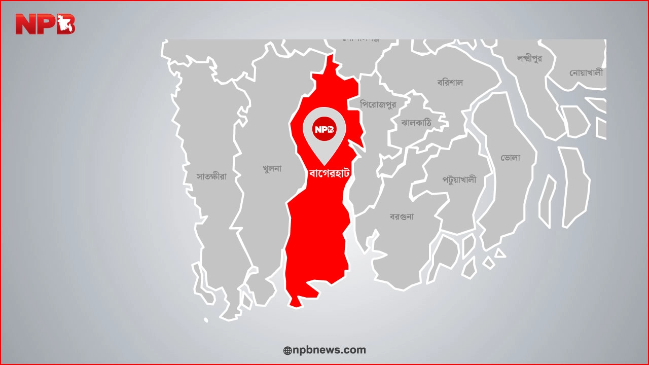 এনপিবি গ্রাফিক্স।