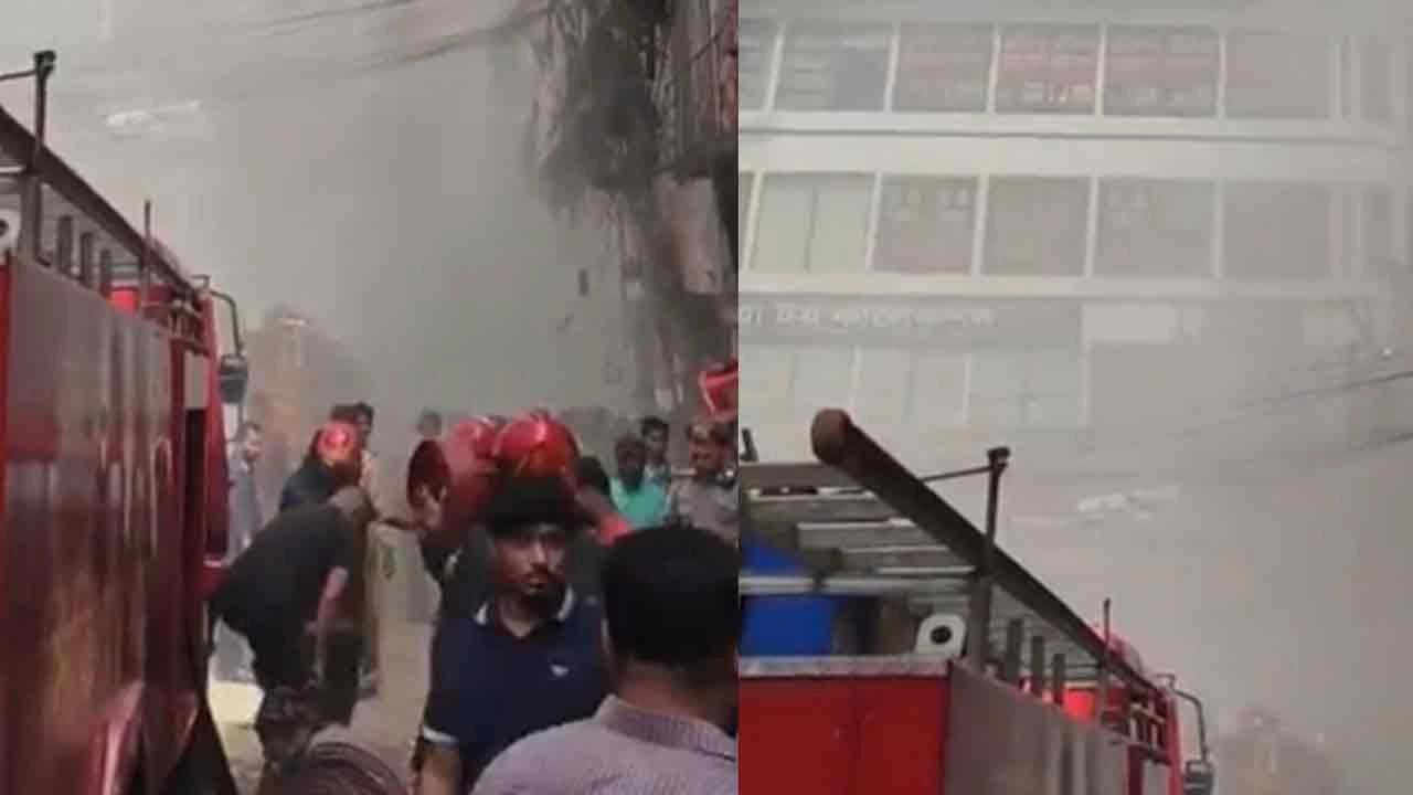 সংগৃহীত