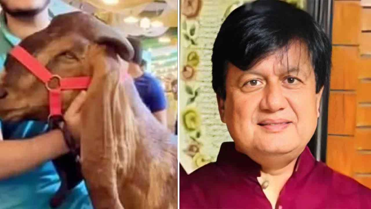 মতিউর রহমান