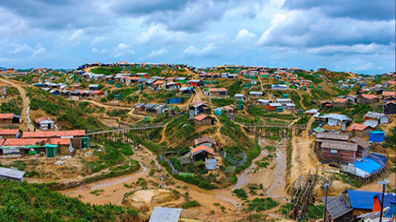ফাইল ছবি