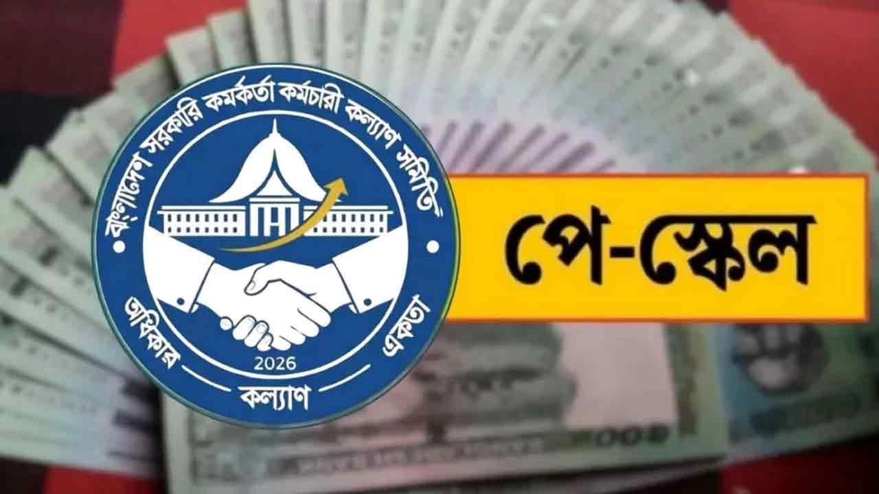 ফাইল ছবি