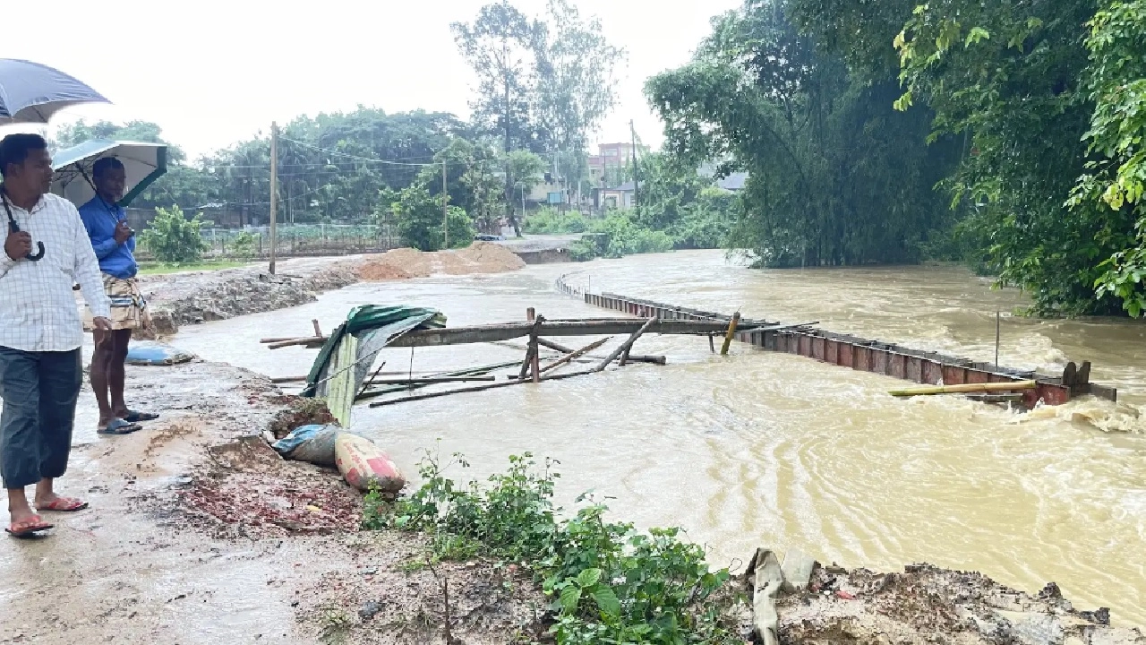ছবি: এনপিবি নিউজ