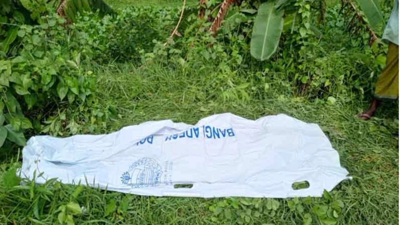 ছবি: এনপিবি নিউজ