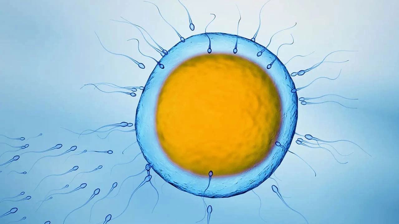 ছবি সংগৃহীত