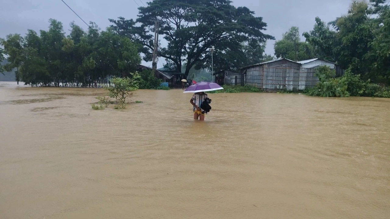 ছবি: এনপিবি নিউজ