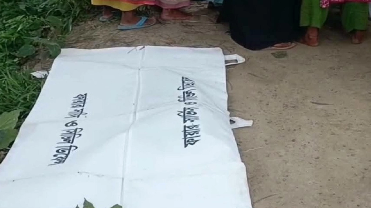 ফাইল ছবি