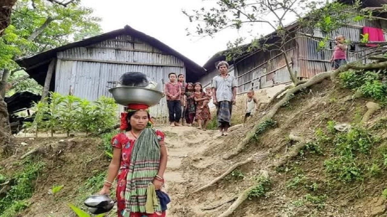 সীতাকুণ্ডের সোনাইছড়ি ইউনিয়নের ত্রিপুরা পল্লী থেকে তুলা।