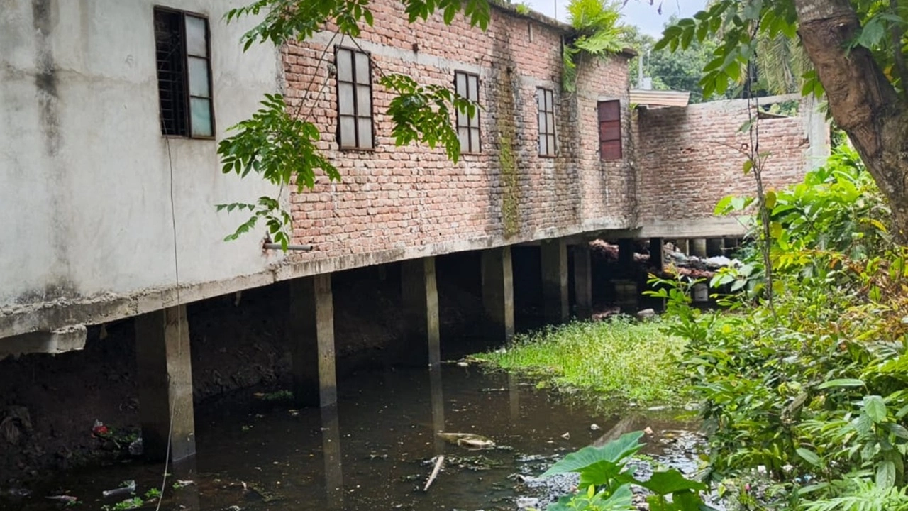 ছবি: এনপিবি নিউজ