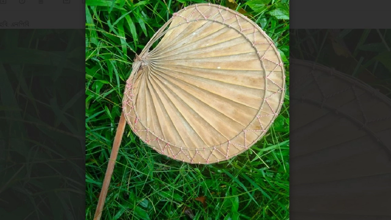 ফাইল ছবি