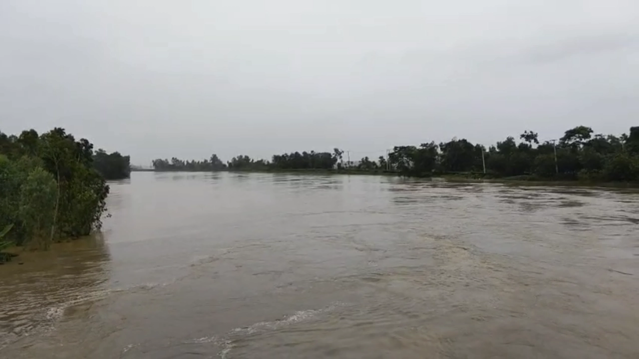 ছবি: এনপিবি নিউজ