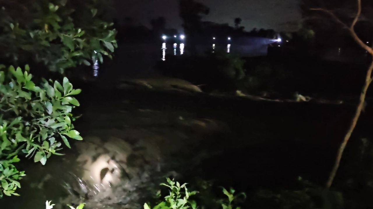 ছবি: এনপিবি নিউজ