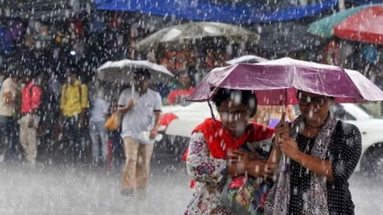 ছবি সংগৃহীত