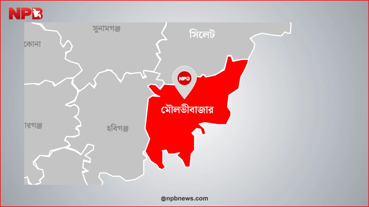 ছবি: এনপিবি নিউজ