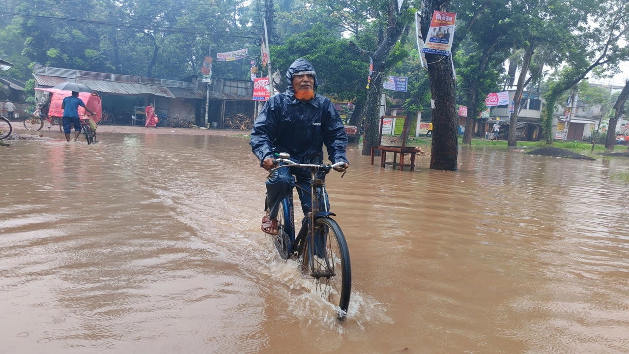 ছবি: এনপিবি নিউজ