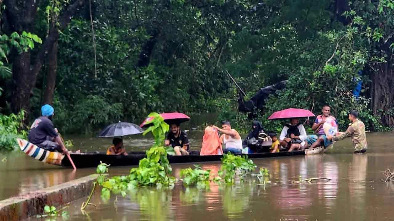 সংগৃহীত