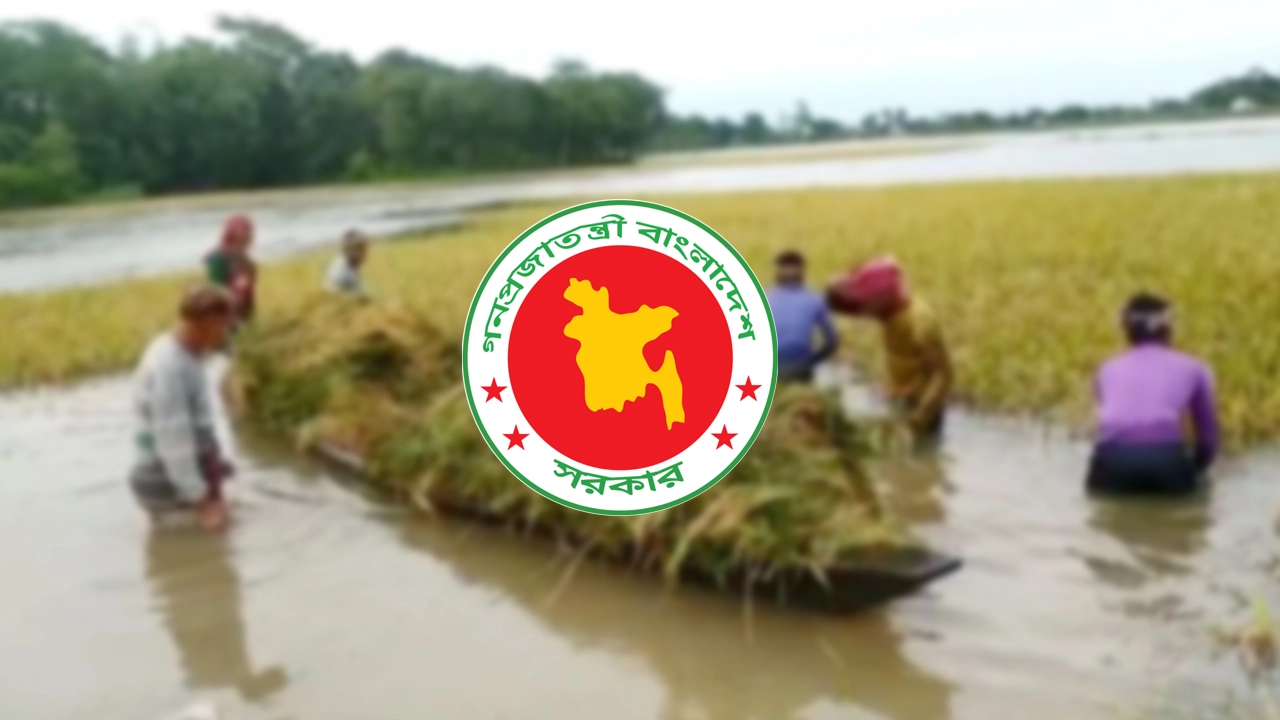 ছবি: এনপিবি নিউজ