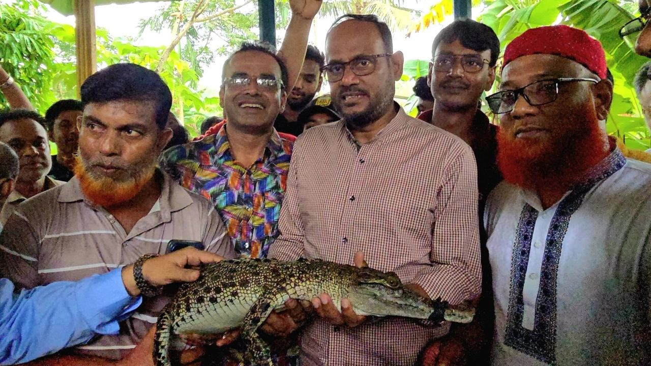 ভালুকা উপজেলার উদ্দীপন কুমির খামার পরিদর্শন করেছেন মৎস্য ও প্রাণিসম্পদ প্রতিমন্ত্রী সুলতান সালাউদ্দিন টুকু।