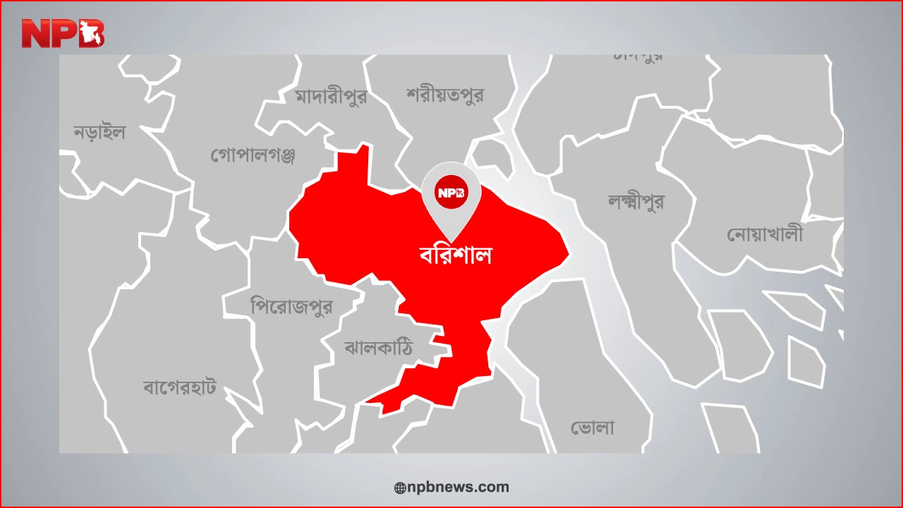 ছবি: এনপিবি নিউজ