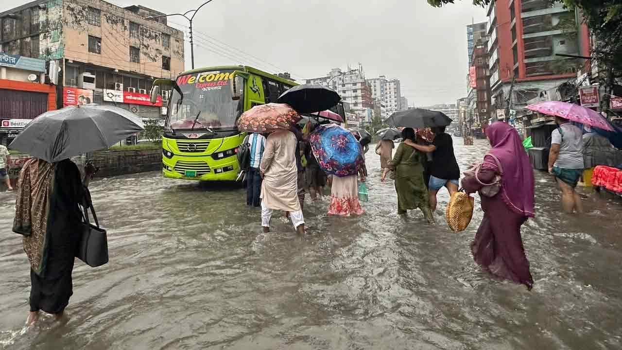 সংগৃহীত