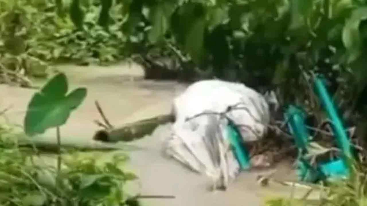 সংগৃহীত