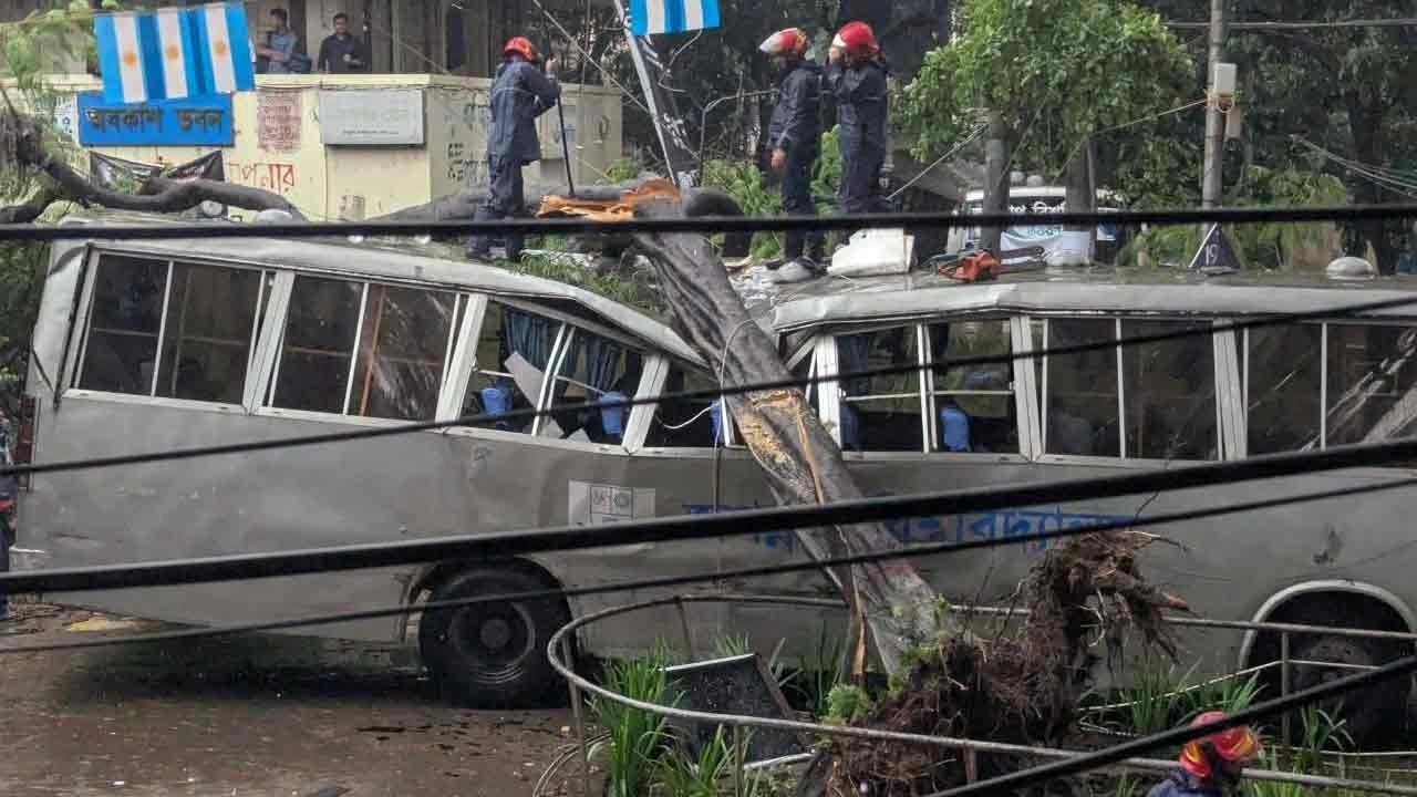 গাছ ভেঙে পড়ে দুমড়ে-মুচড়ে যাওয়া জবির বাস