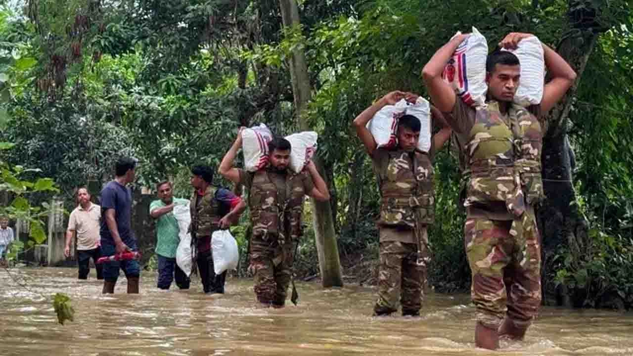 ছবি : সংগৃহীত।
