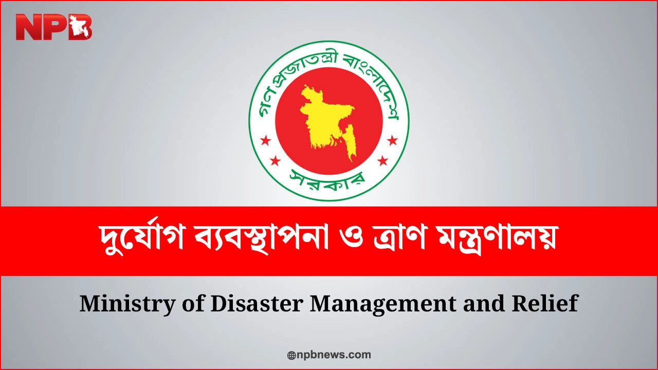 ছবি: এনপিবি গ্রাফিক্স