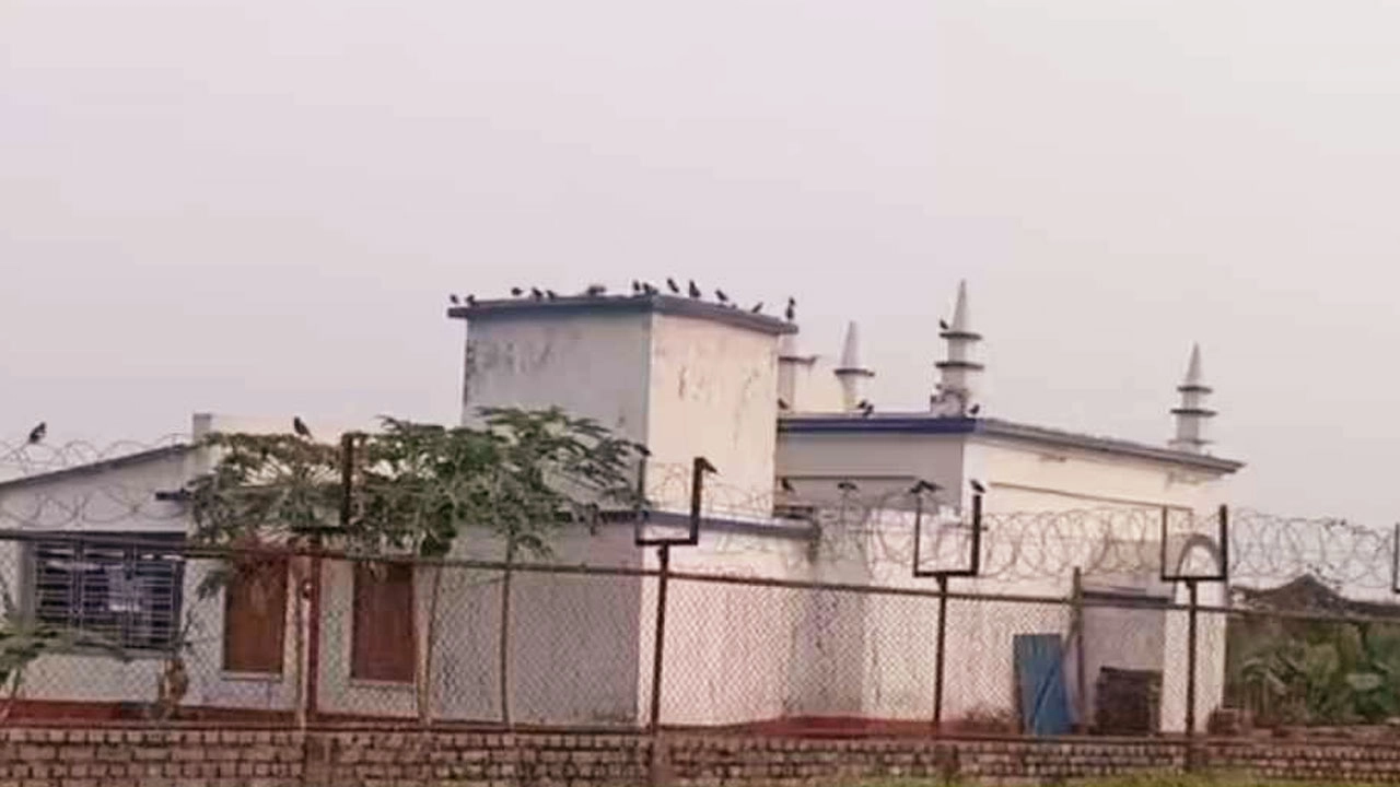 ছবি: সংগৃহীত