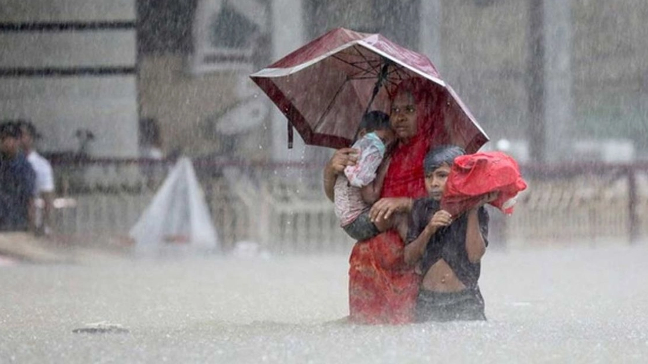 ছবি : সংগৃহীত।