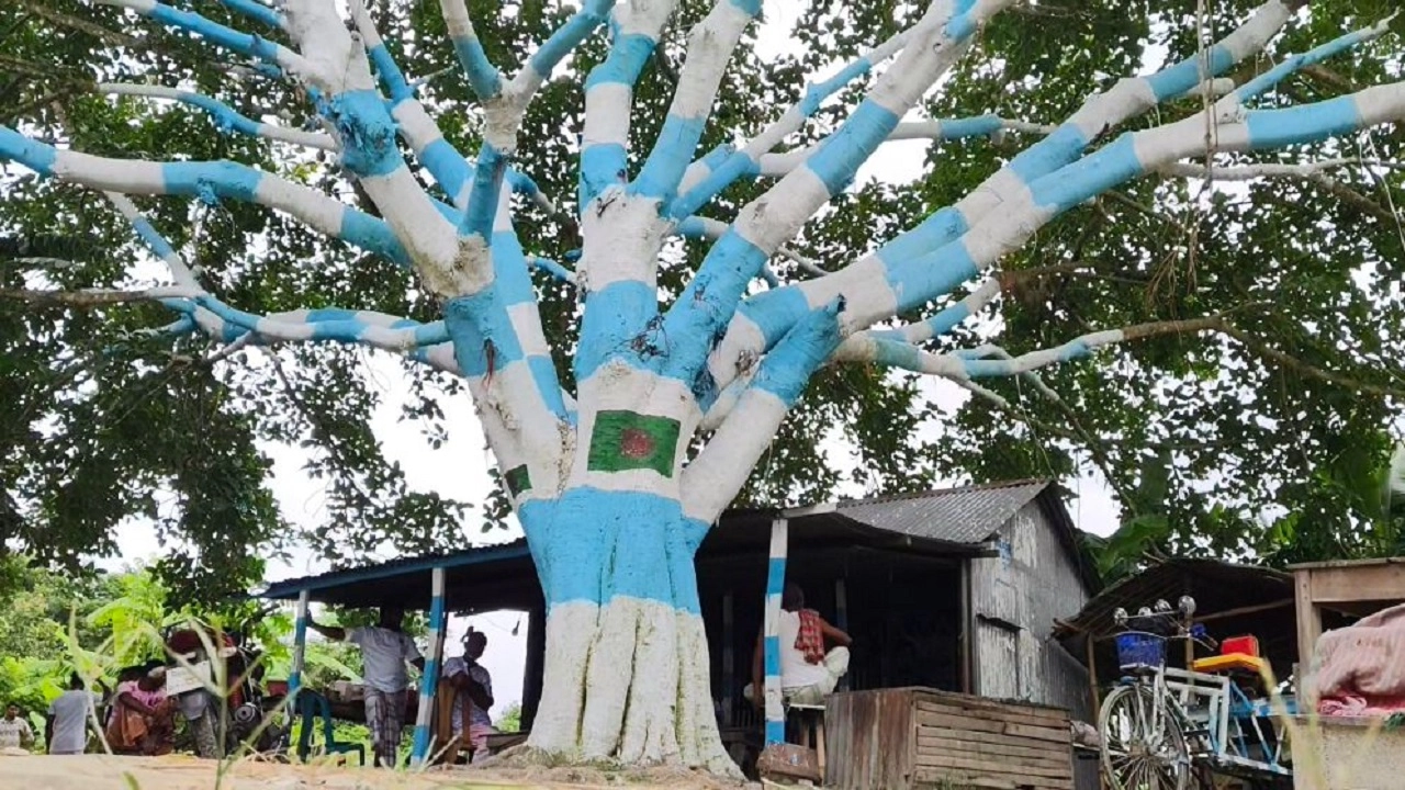 ছবি: এনপিবি নিউজ