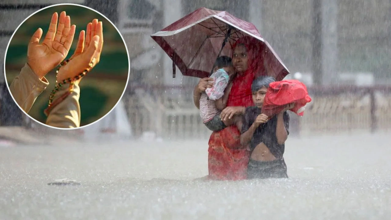 এনপিবি কোলাজ