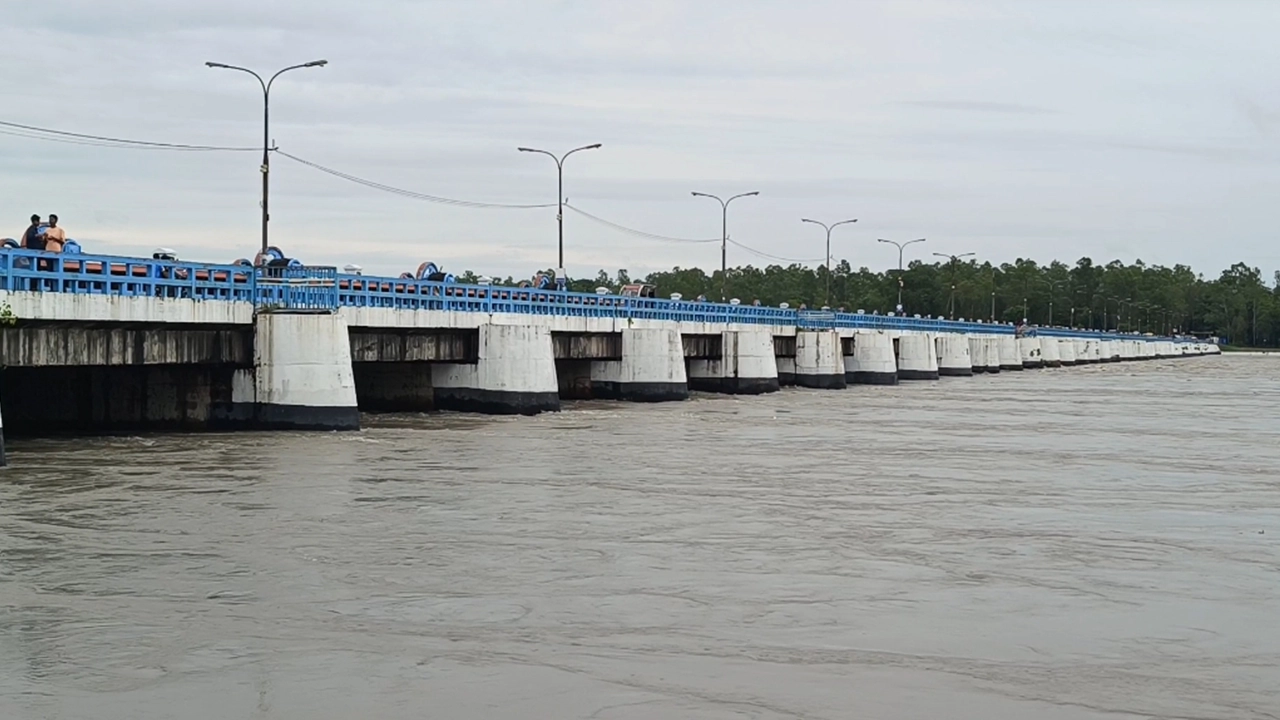 ছবি: এনপিবি
