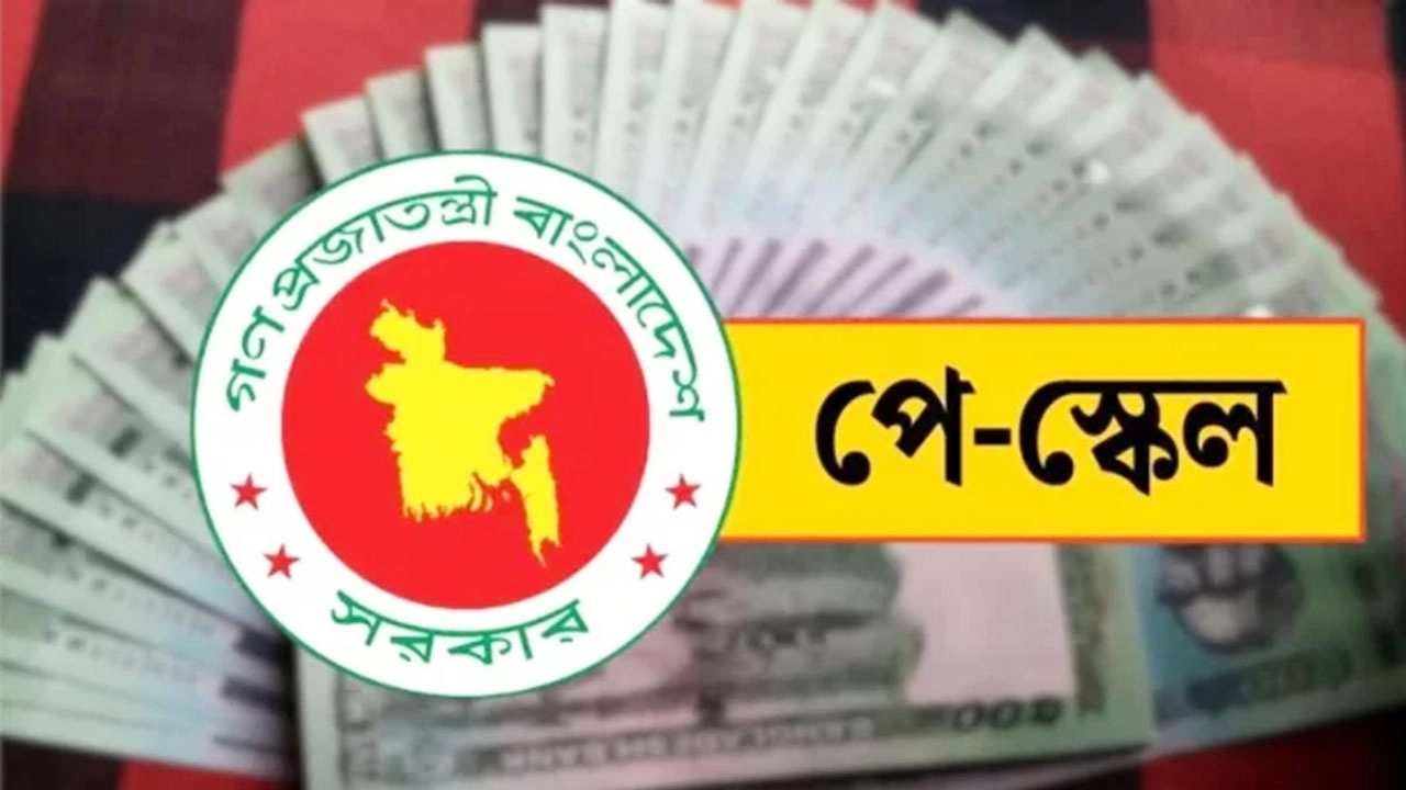 ফাইল ছবি