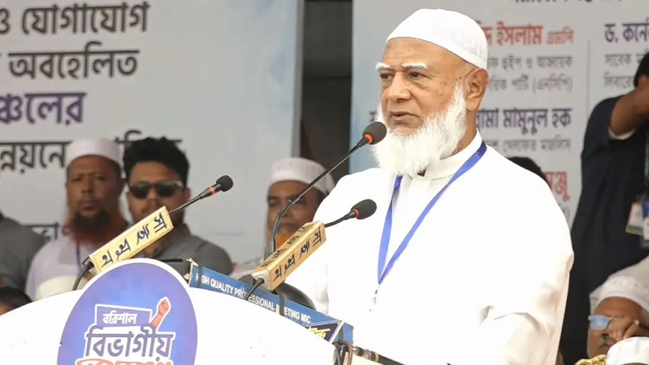 গণভোট না থাকলে এই সরকারও মানা হবে না: জামায়াত আমির
