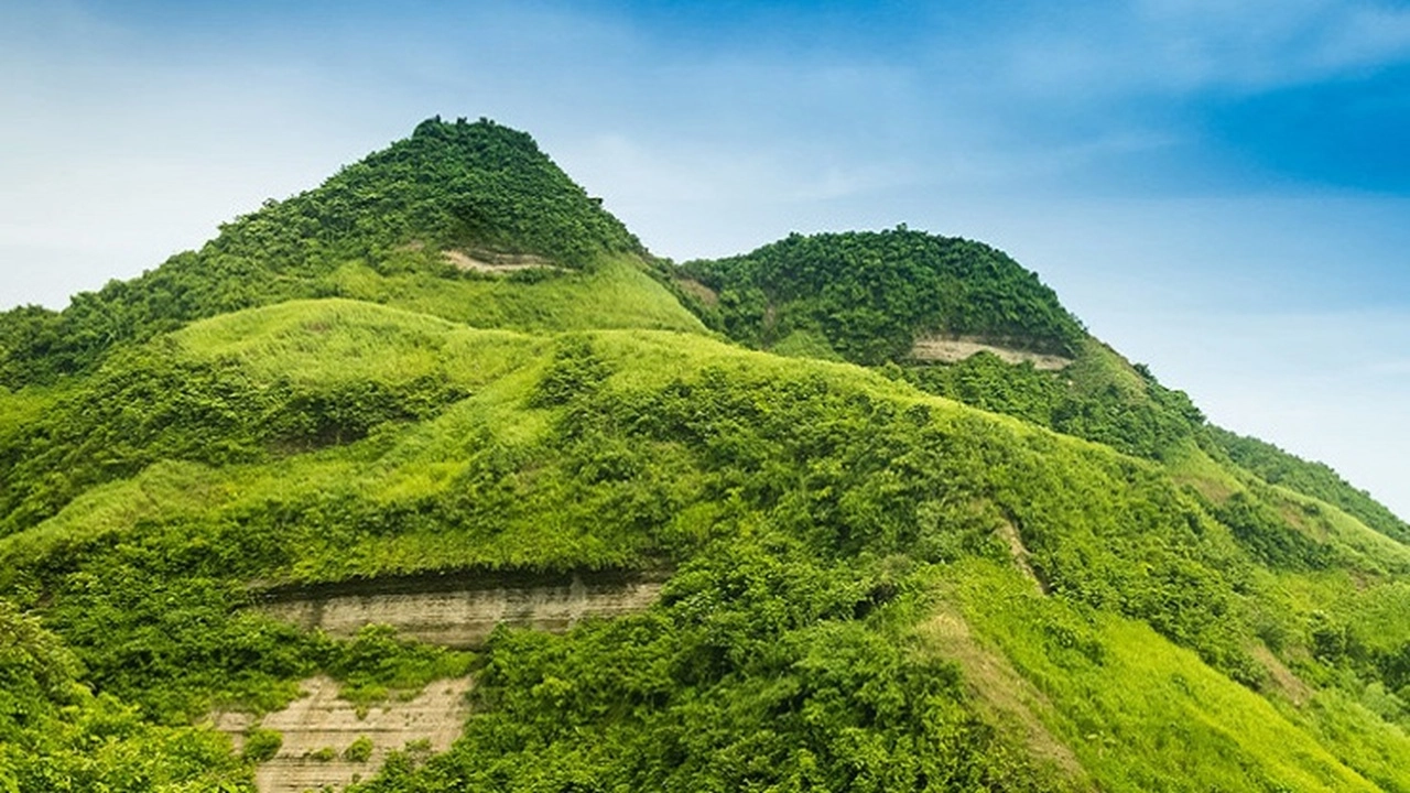 মহিষ আনতে গিয়ে নিখোঁজ, ২০ লাখ টাকা মুক্তিপণ চেয়ে ফোন