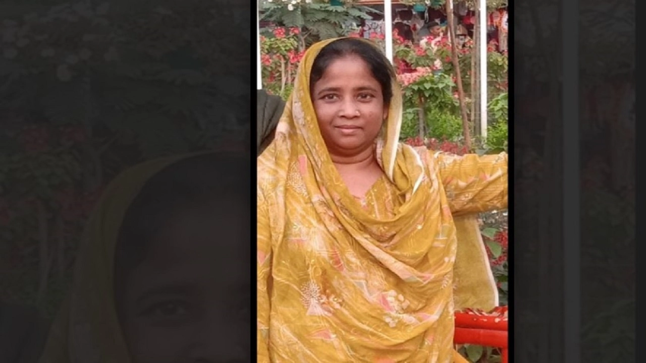 ফাইল ছবি