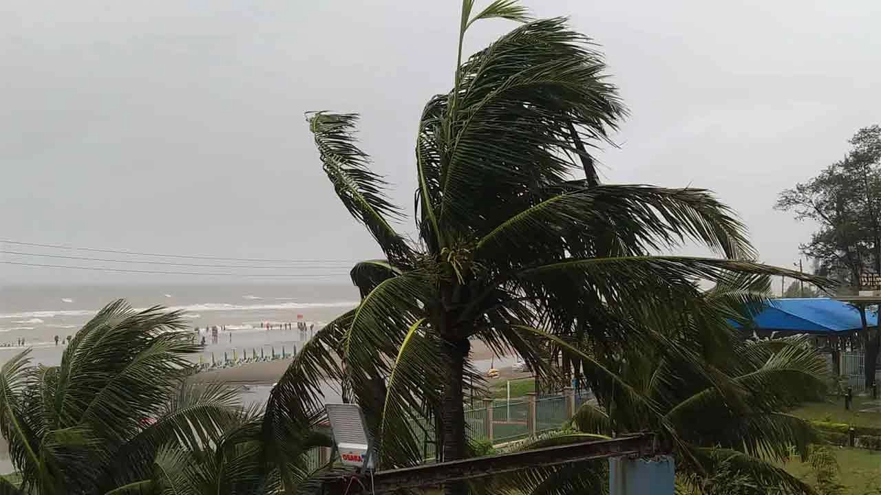 দুপুরের মধ্যে যেসব জেলায় হতে পারে বজ্রবৃষ্টি